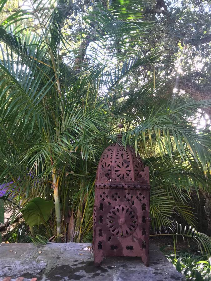 Bed & Breakfast La Dulcinea *